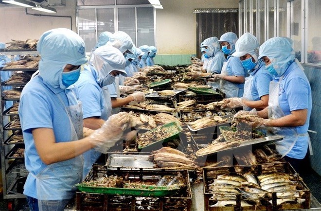 附圖：2018年前兩月越南水產(chǎn)品出口額同比增長(zhǎng)近30%。（圖片來源：越通社）